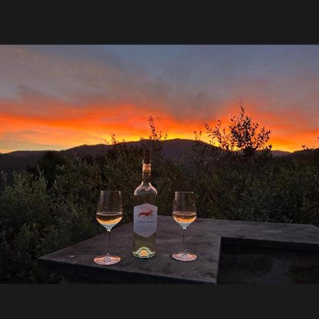 Il Gabbiano Di Pieve Bed & Breakfast Пиеве Лигуре Екстериор снимка