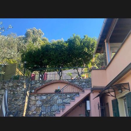 Il Gabbiano Di Pieve Bed & Breakfast Пиеве Лигуре Екстериор снимка
