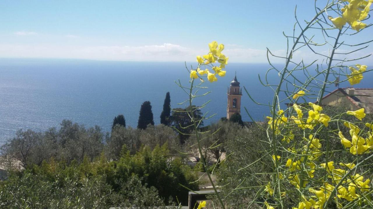 Il Gabbiano Di Pieve Bed & Breakfast Пиеве Лигуре Екстериор снимка