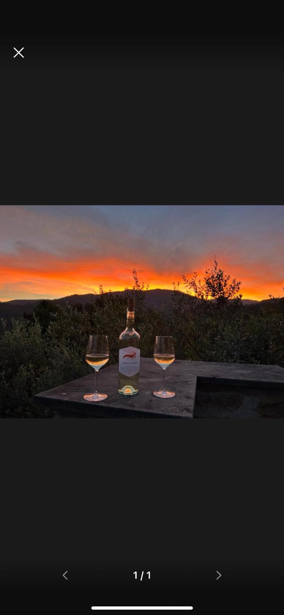 Il Gabbiano Di Pieve Bed & Breakfast Пиеве Лигуре Екстериор снимка