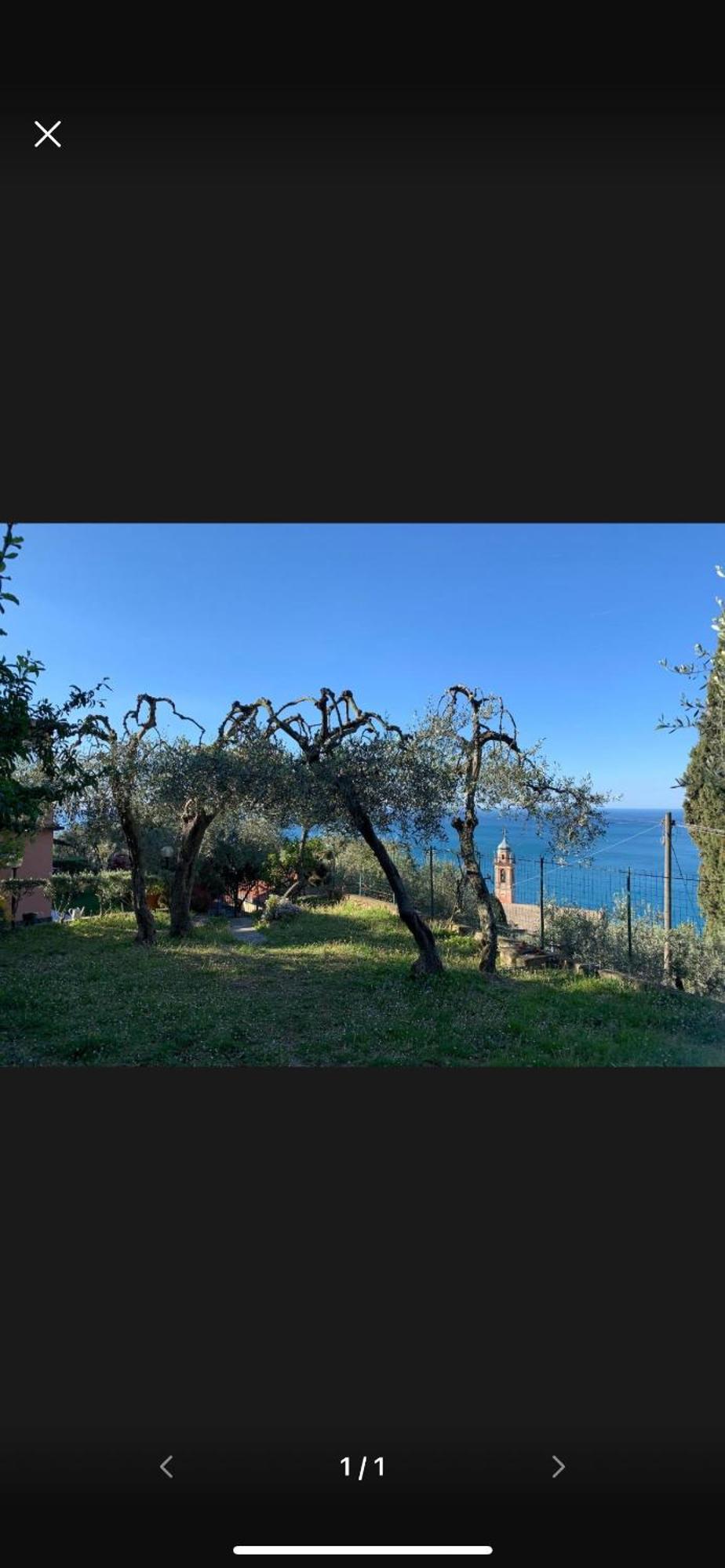 Il Gabbiano Di Pieve Bed & Breakfast Пиеве Лигуре Екстериор снимка