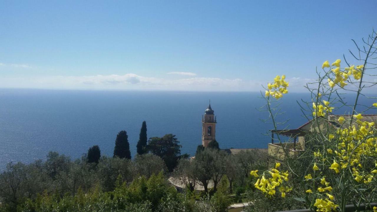 Il Gabbiano Di Pieve Bed & Breakfast Пиеве Лигуре Екстериор снимка